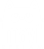mavi_logo2
